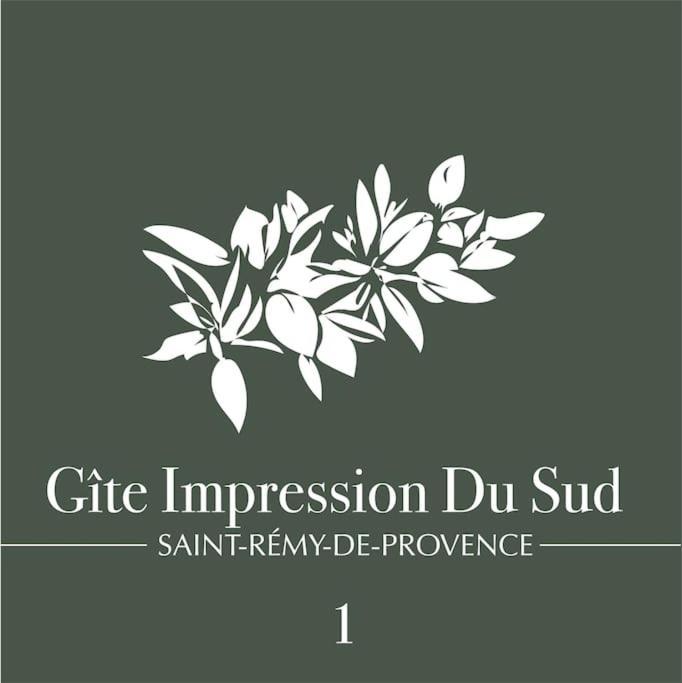 Impression Du Sud 1 * Saint-Remy-de-Provence